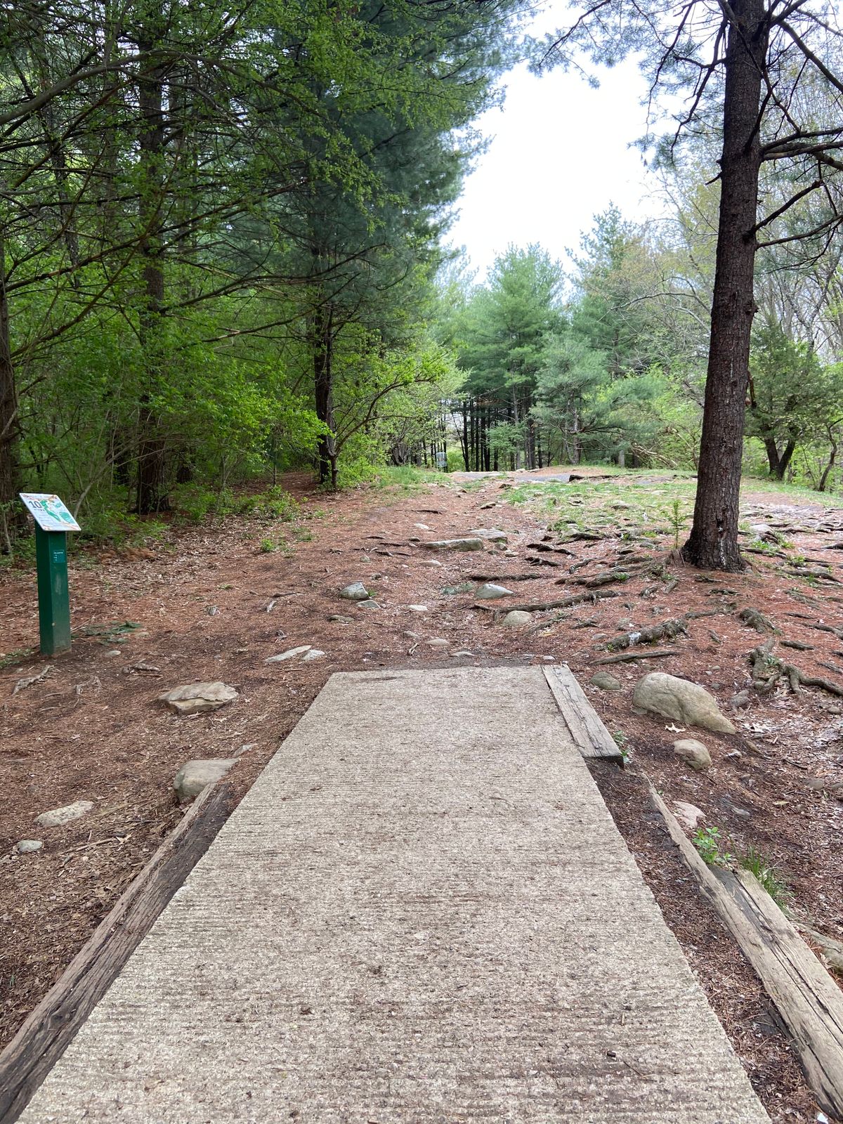 Hole 10, first hole into the woods