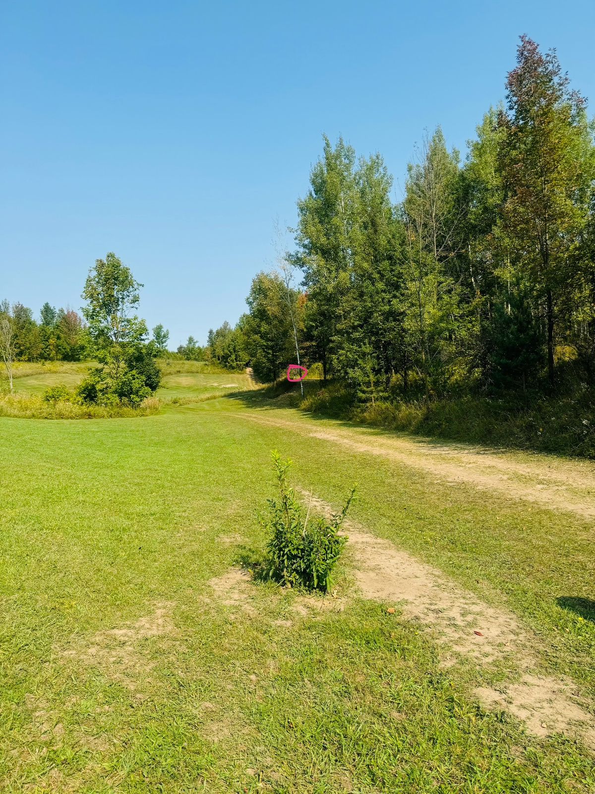 Hole 9 from the tee