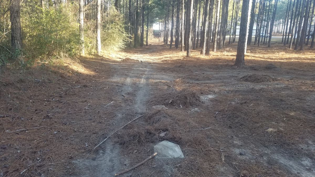 Hole 4