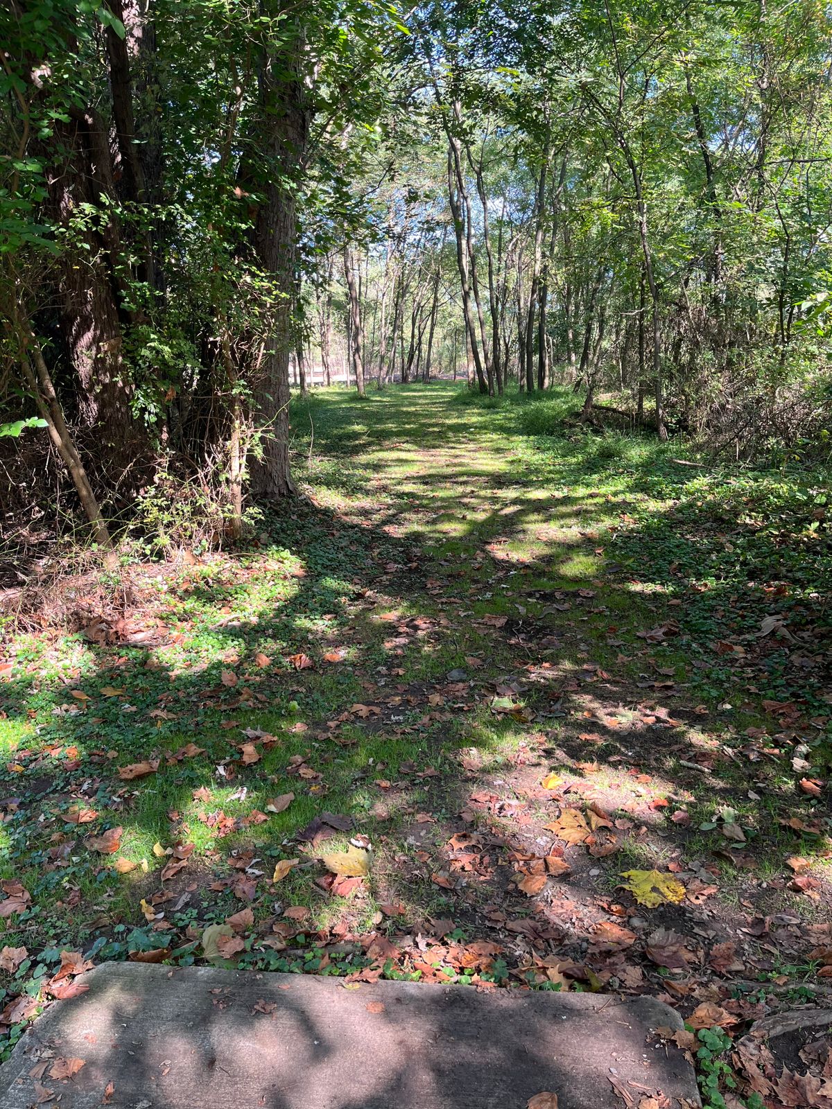 Hole 12