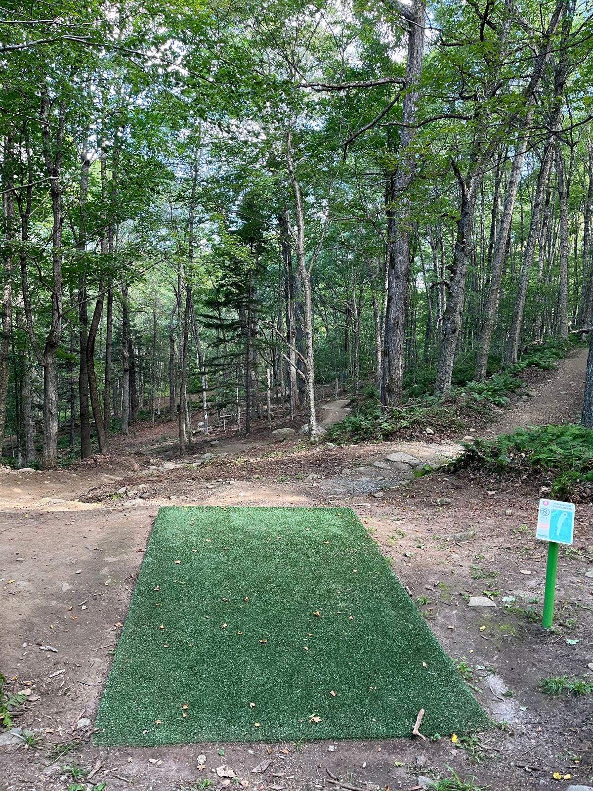 Hole 8 tee pad