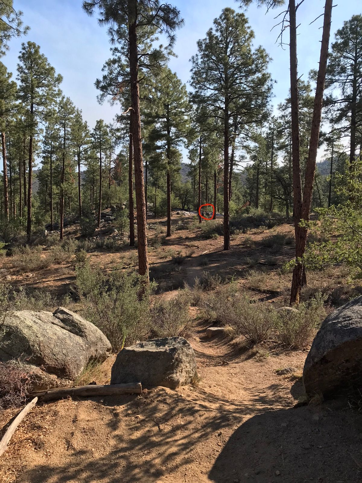 Tee 12