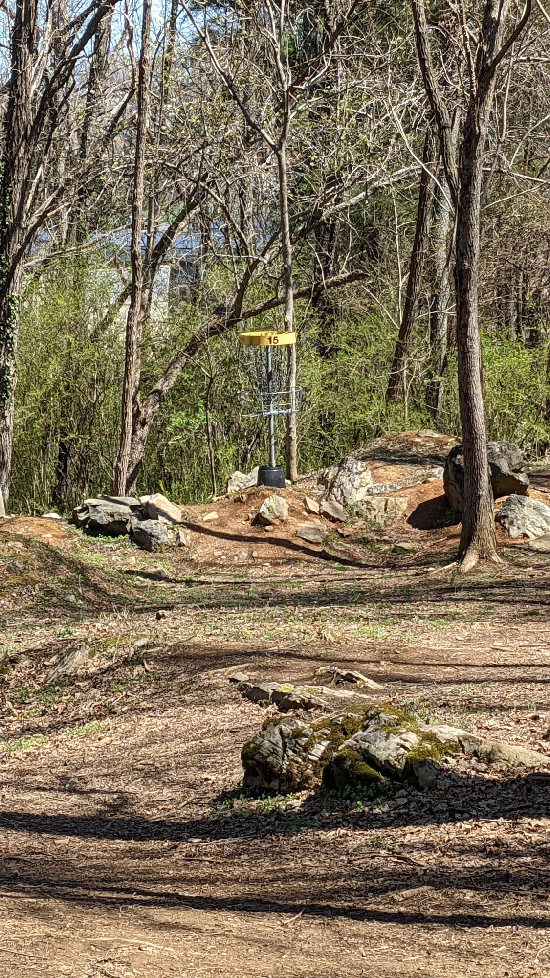 Hole 15/ long basket