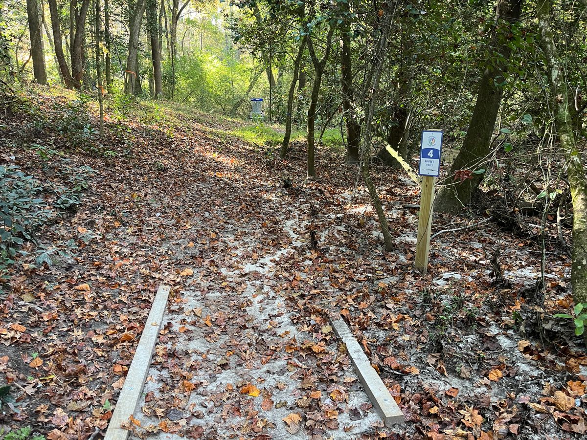 Hole 4 tee