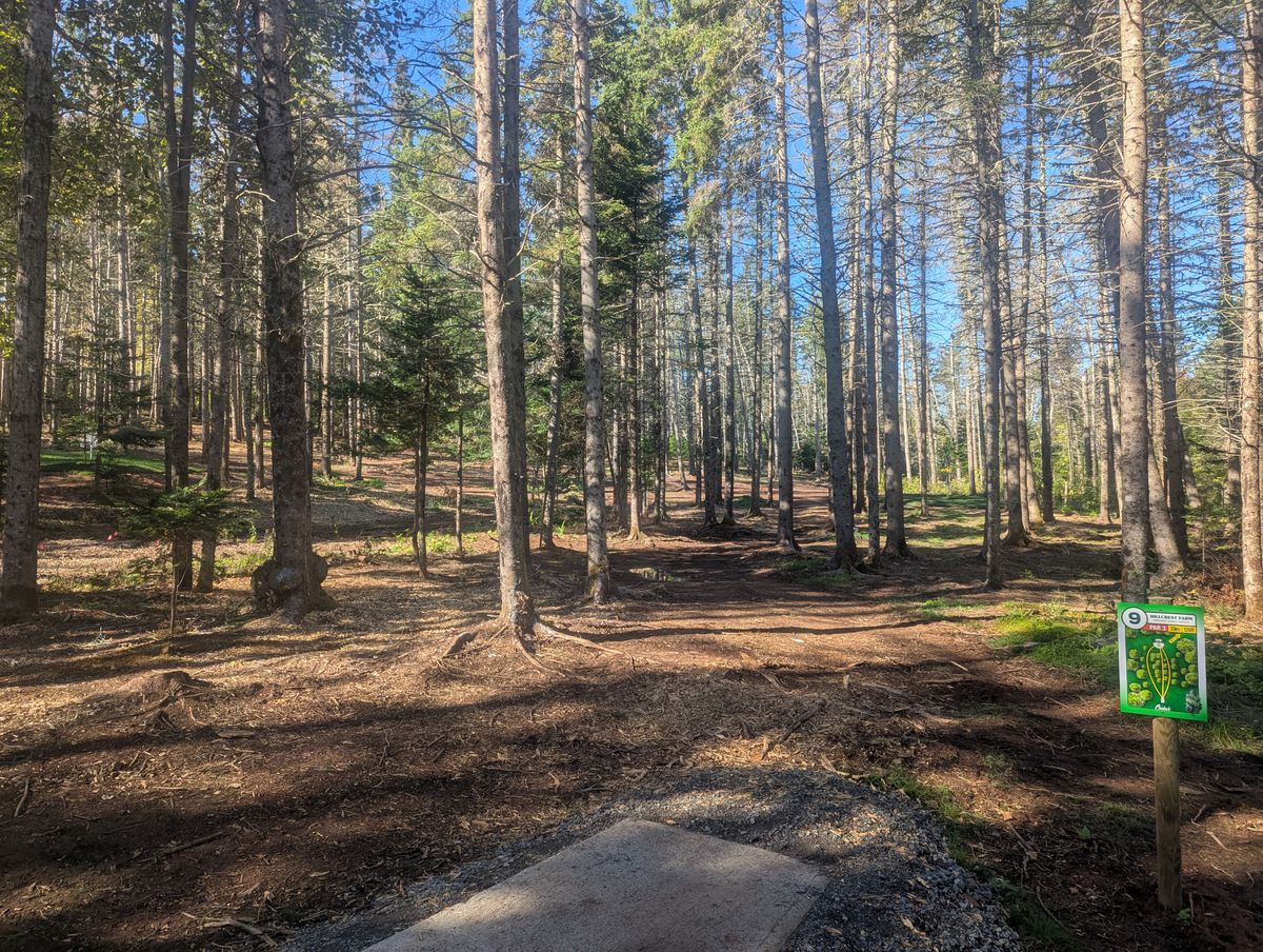 A view of hole 9.
