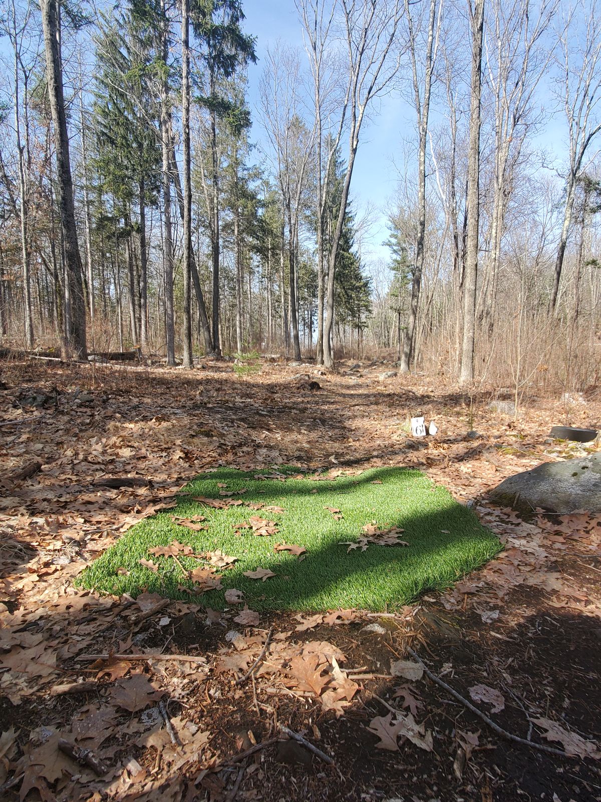 Hole 6 tee pad.