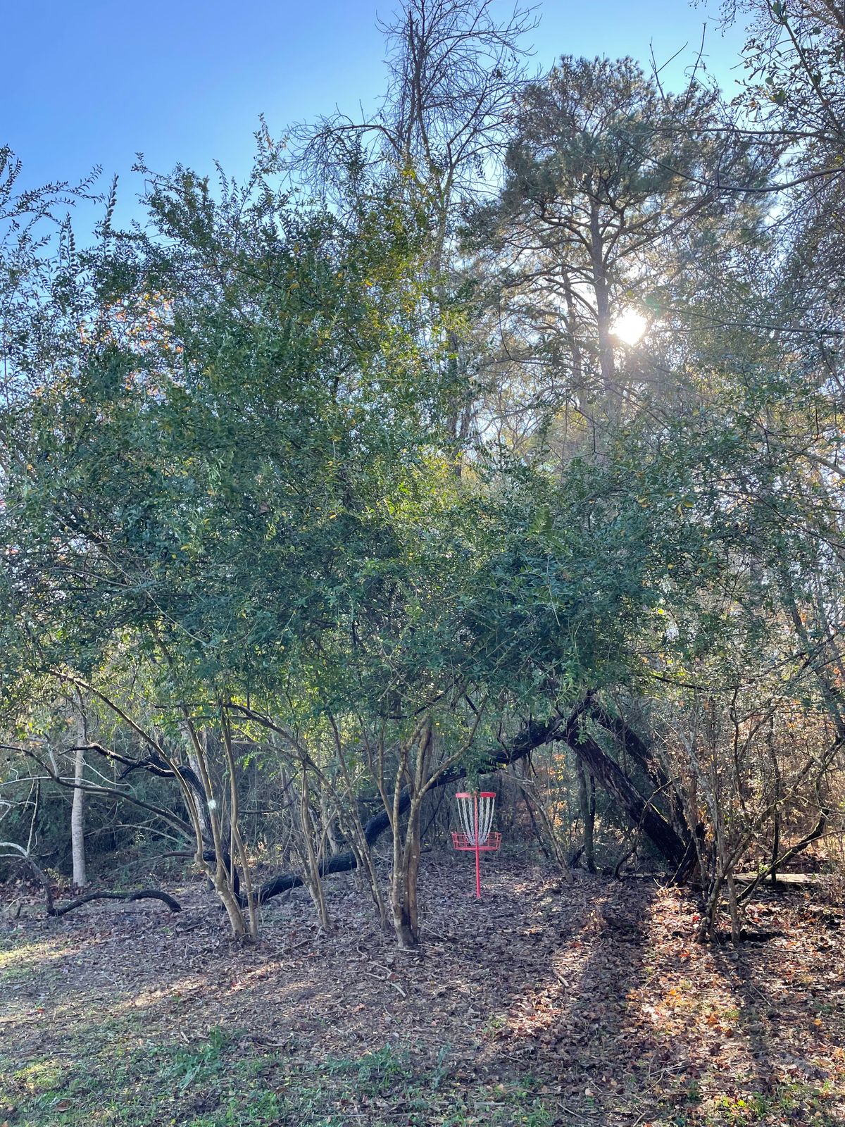 Hole 6