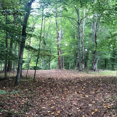Hole 4