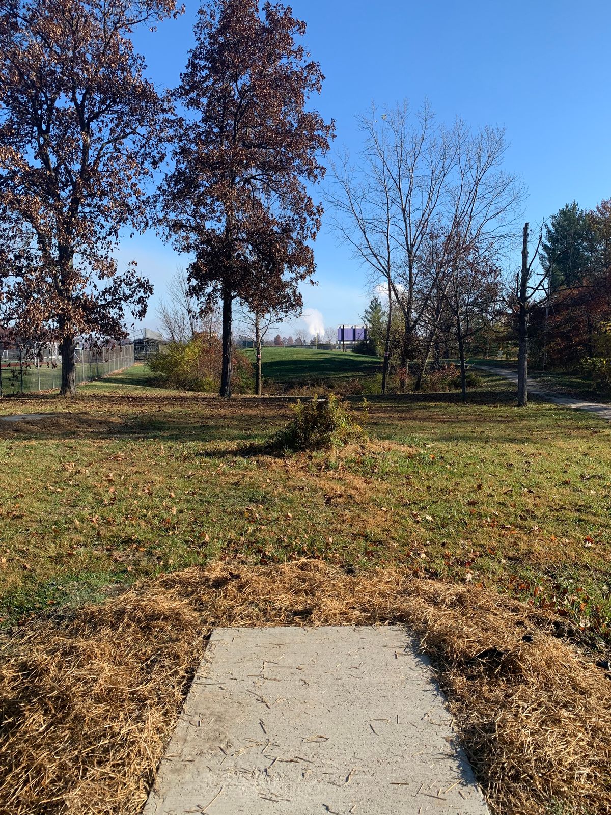 Hole 3 - Pro Tee