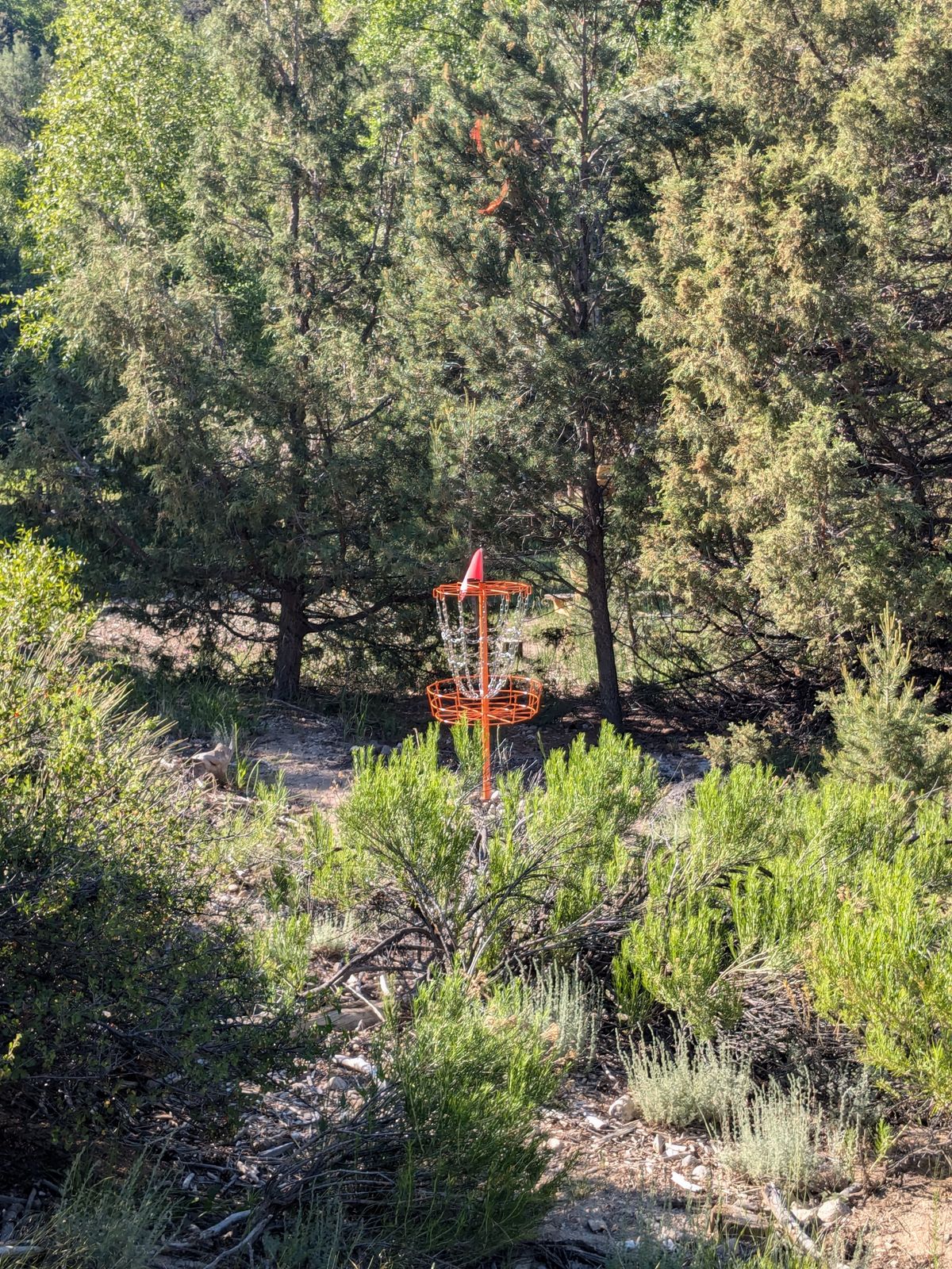 Hole 9