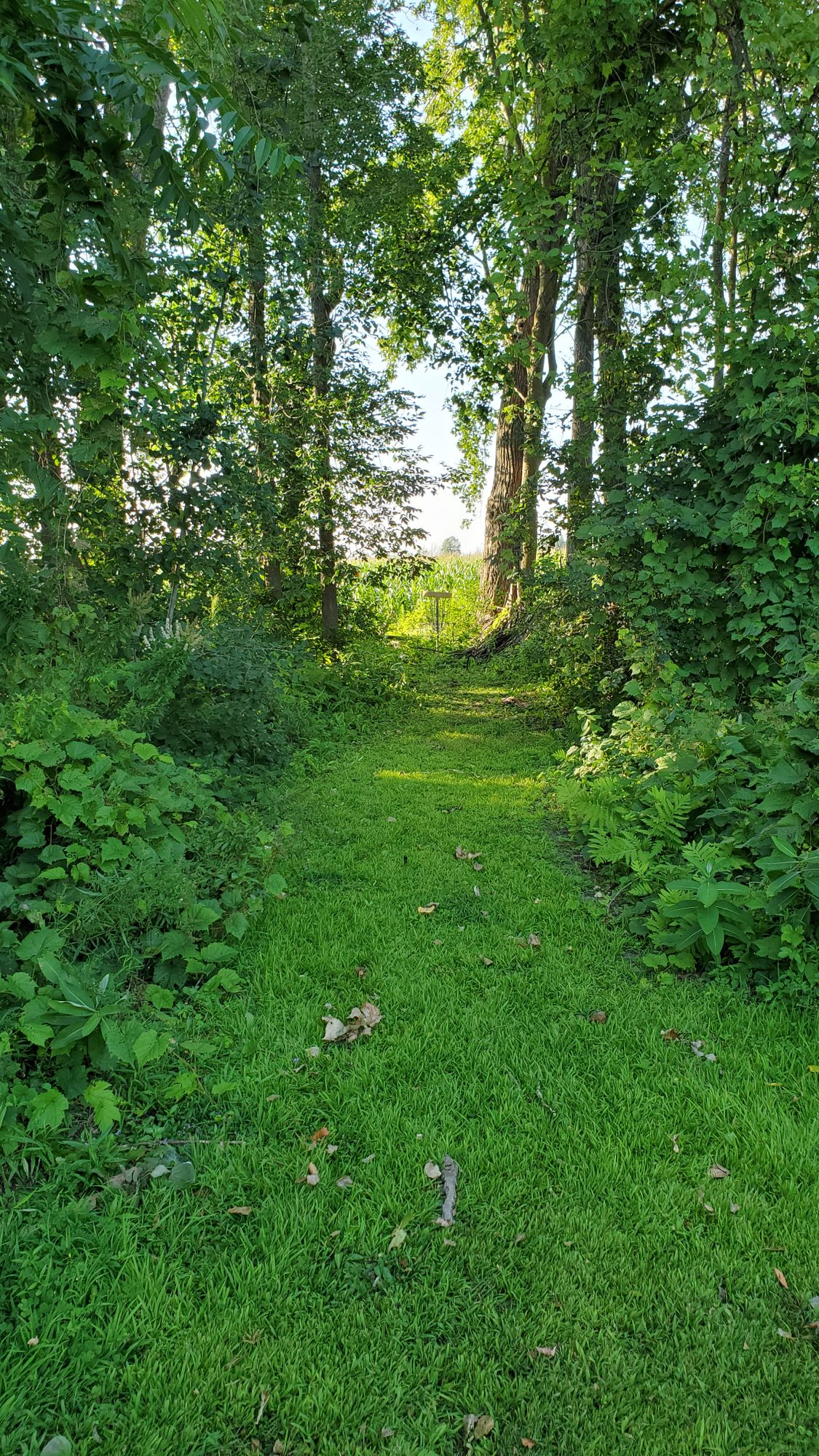 Hole 2 and 8