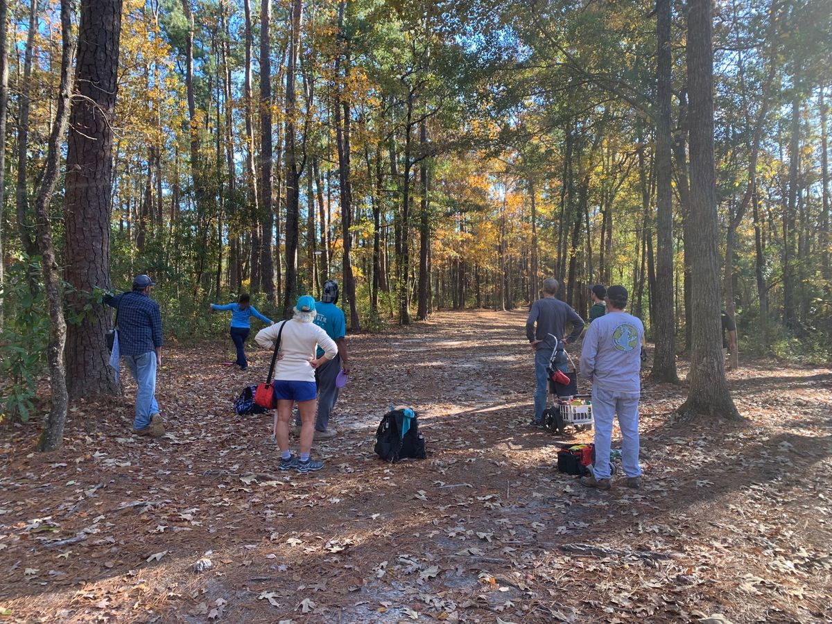 Hole 8