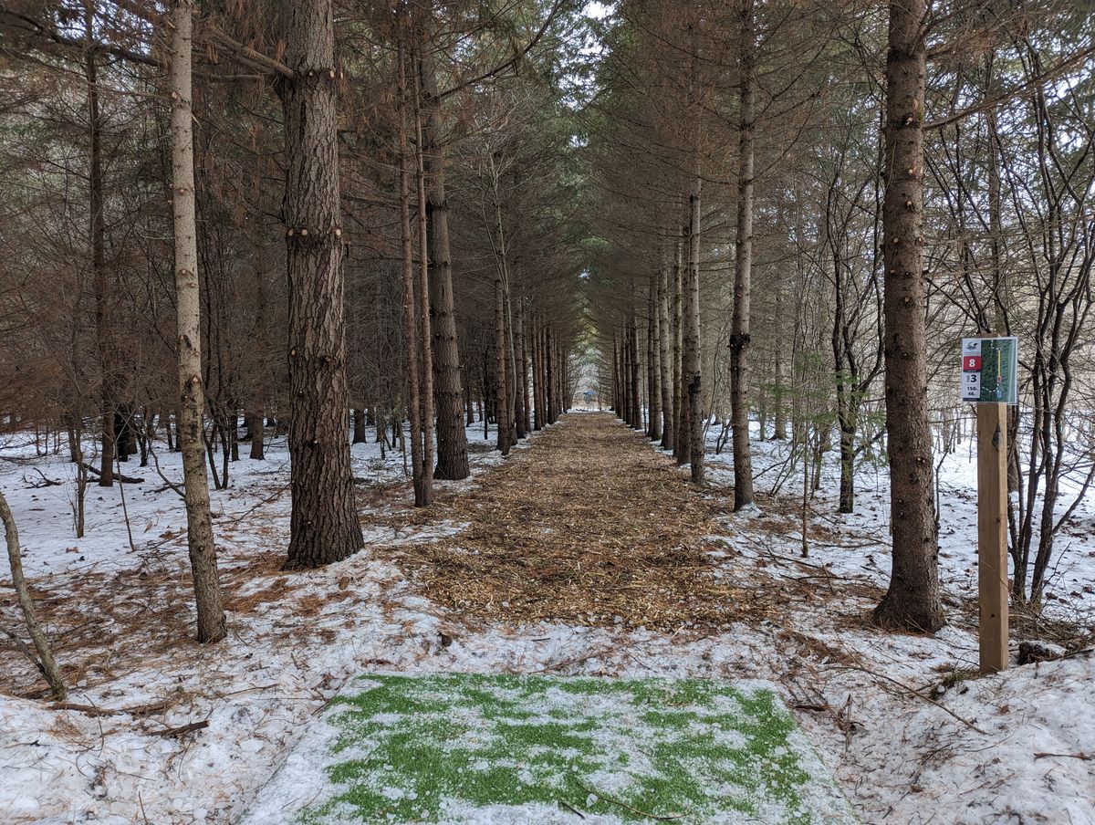 Hole 8 - "Fisher"