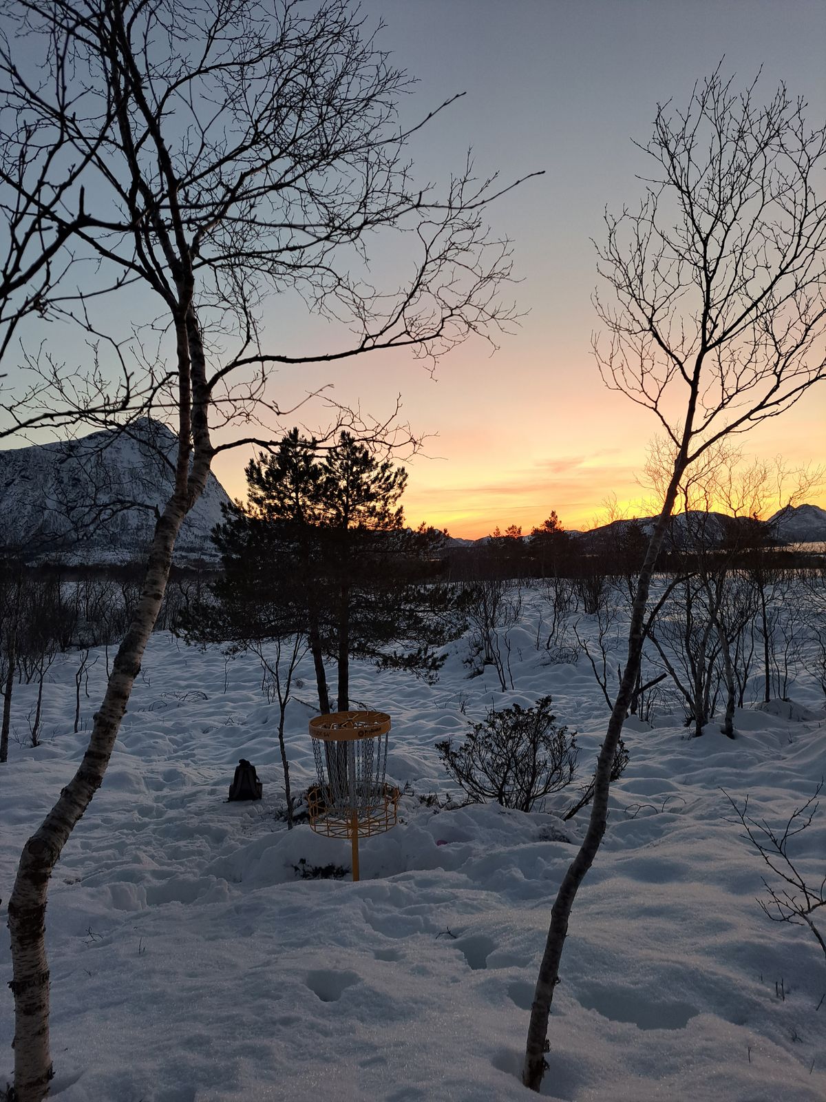 Kurv 9 i fantastisk desemberlys