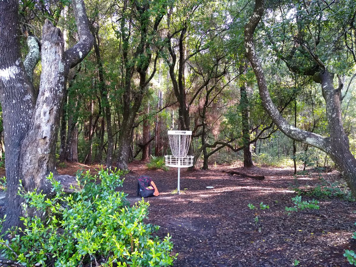 Some baskets are even in the shade!