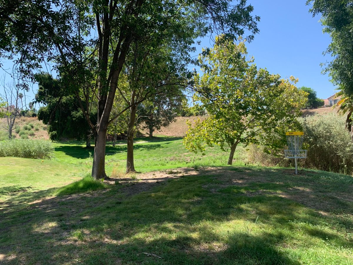 Omega Hole 12 Basket