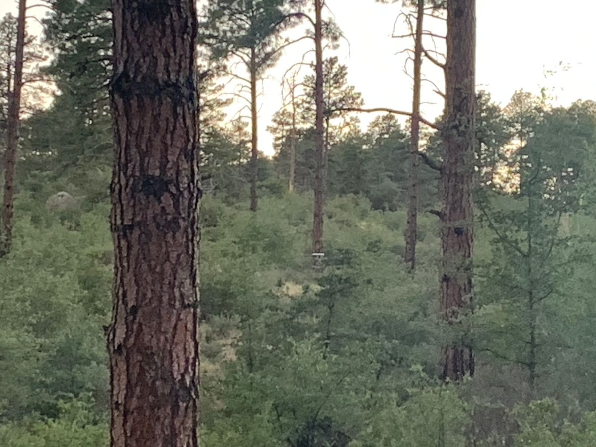 Hole 4