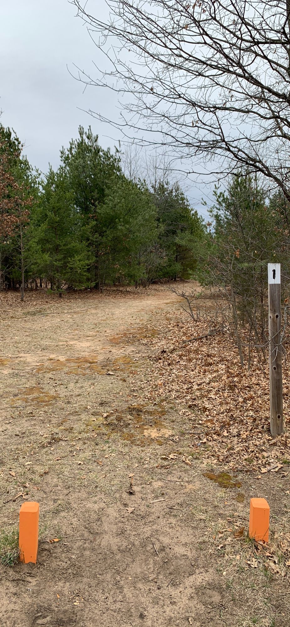 Hole 1 tee