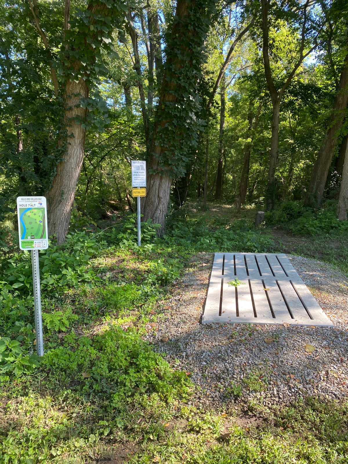 Hole 7 Alternate tee pad