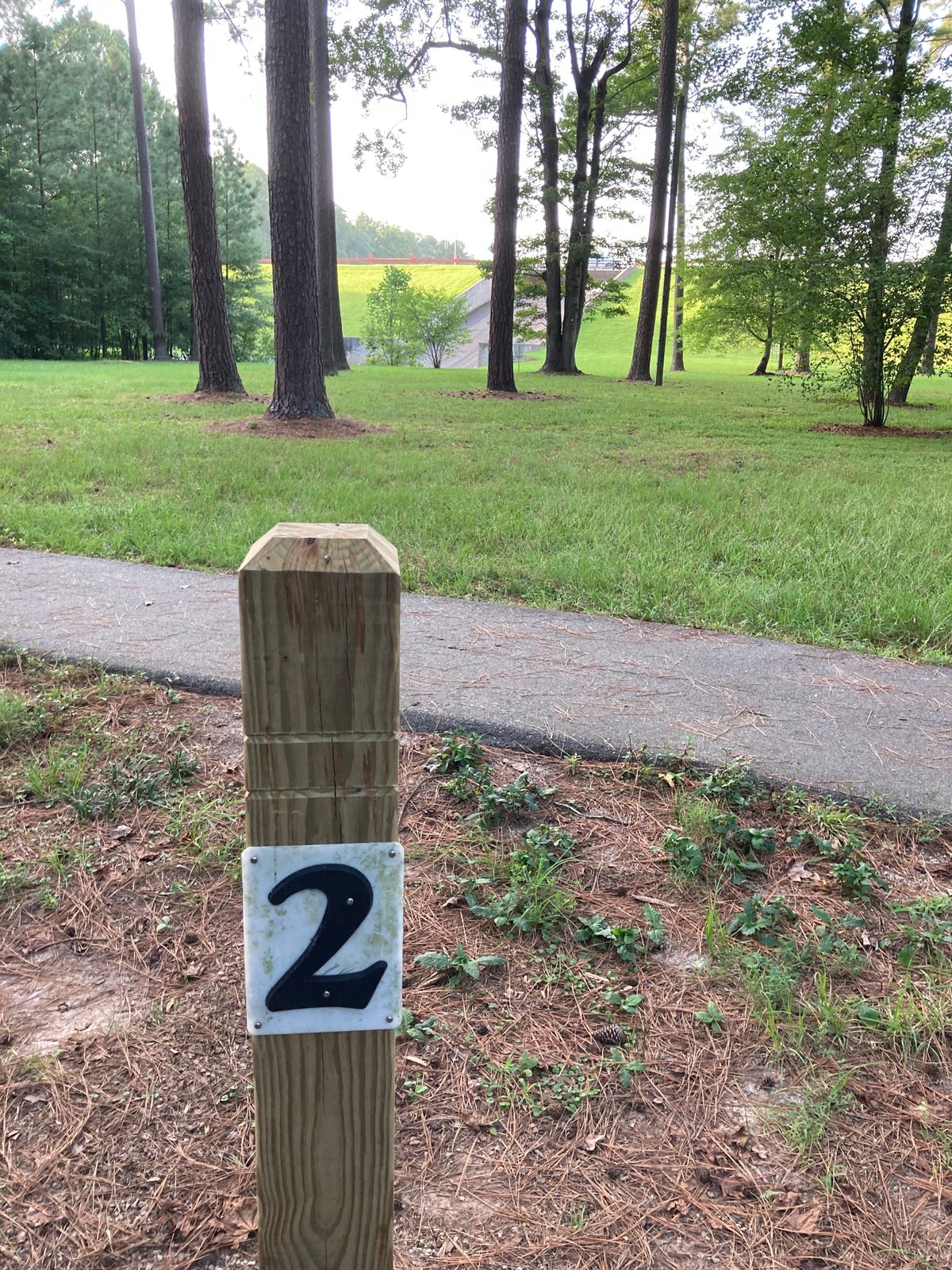 Hole 2 (but basket is to right of this pic)