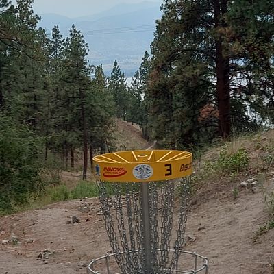 Reverse back up the fairway on hole 3.👌🌲🌲👍