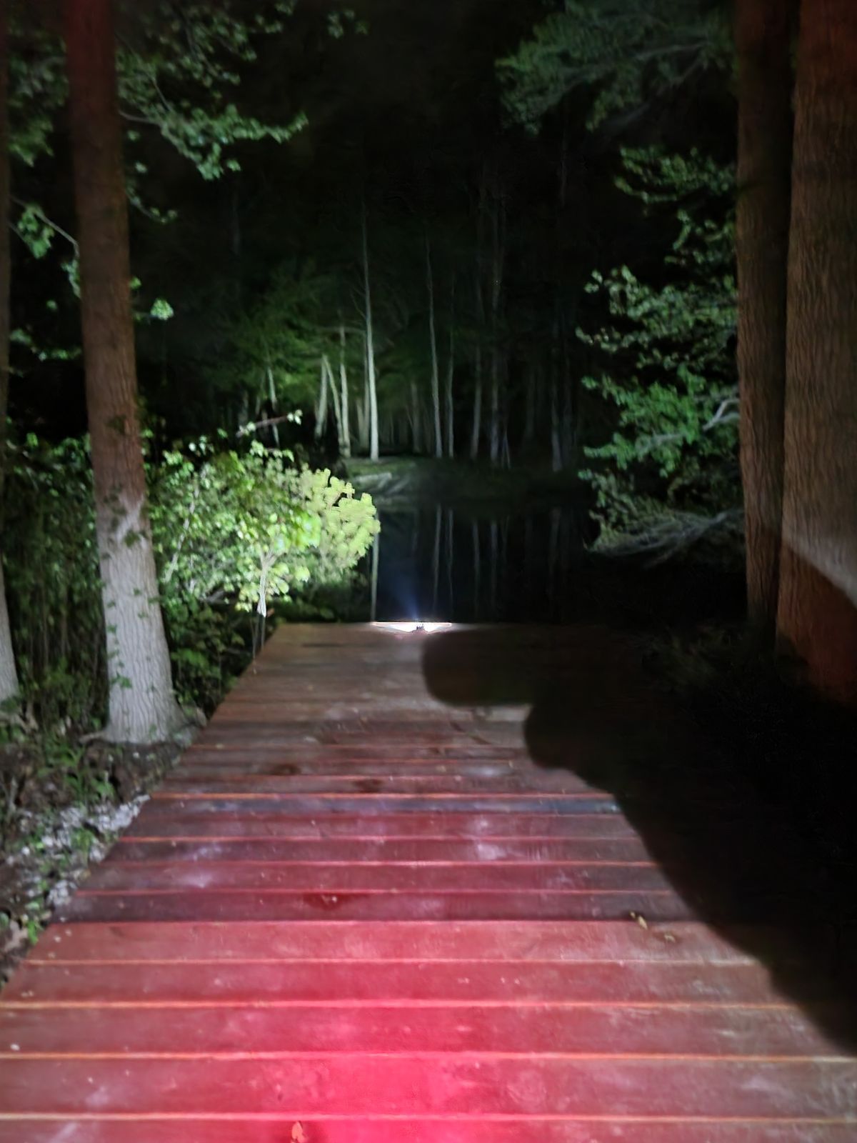 #6 dock lit for glow