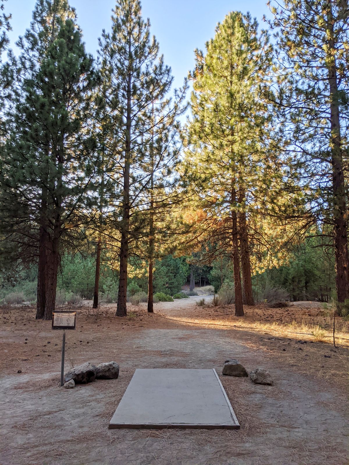 Hole 11
