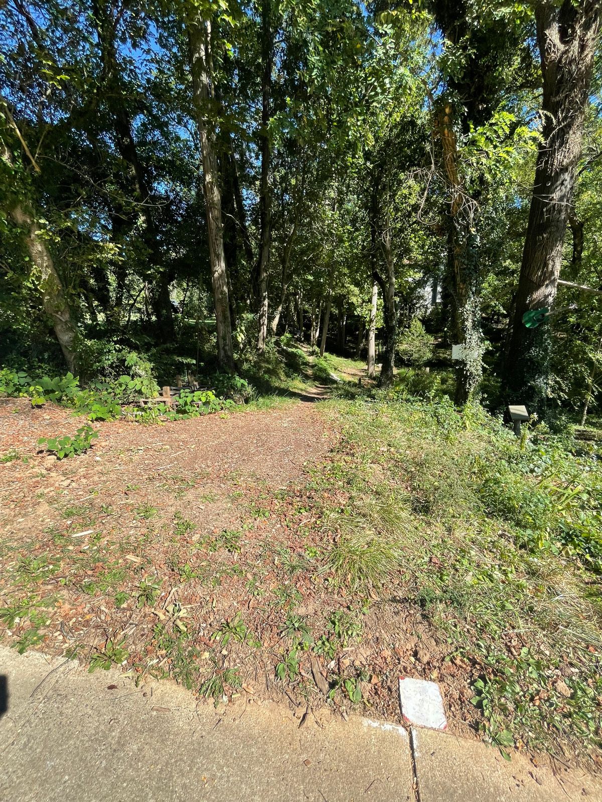 Hole 5 from the white