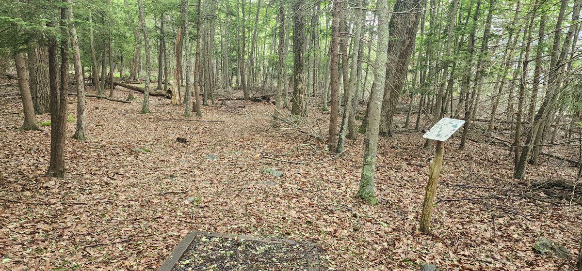 Hole 6