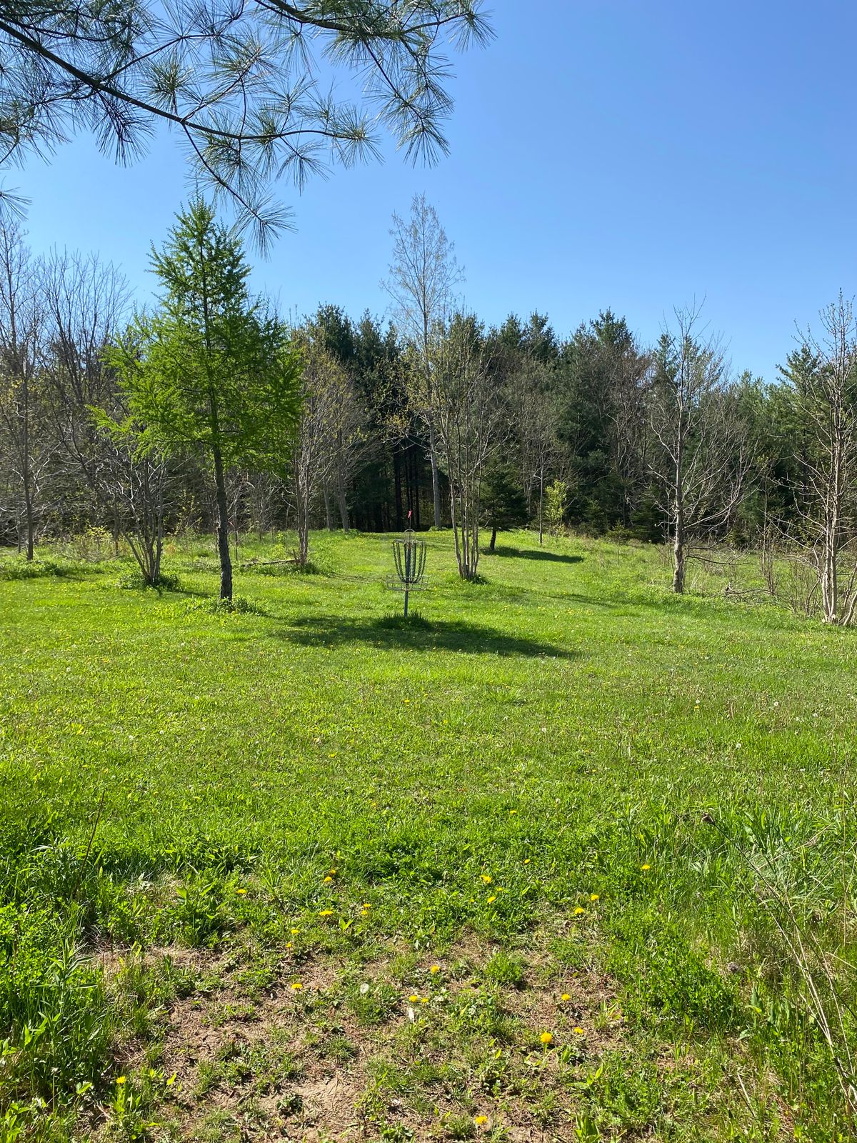 Hole 8 basket