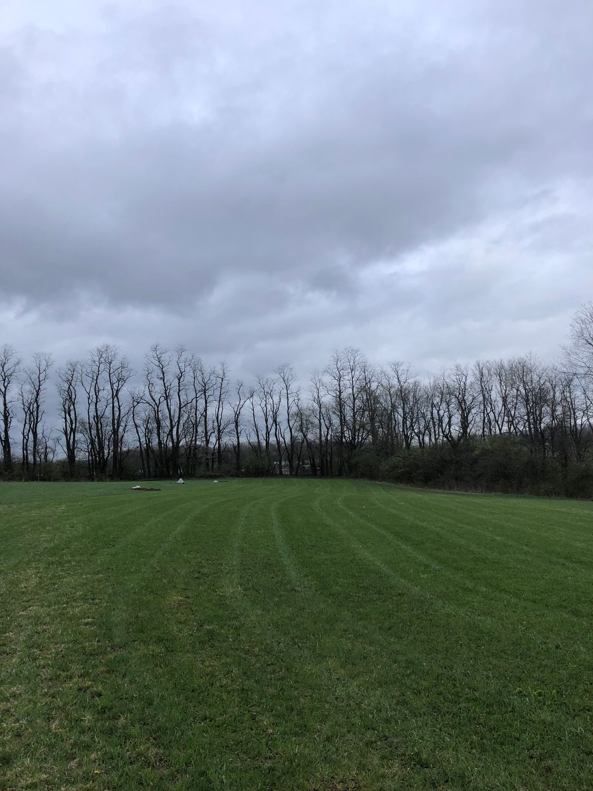 Hole 16 fairway, trees being planted on the left to separate from 17 and for a technical approach