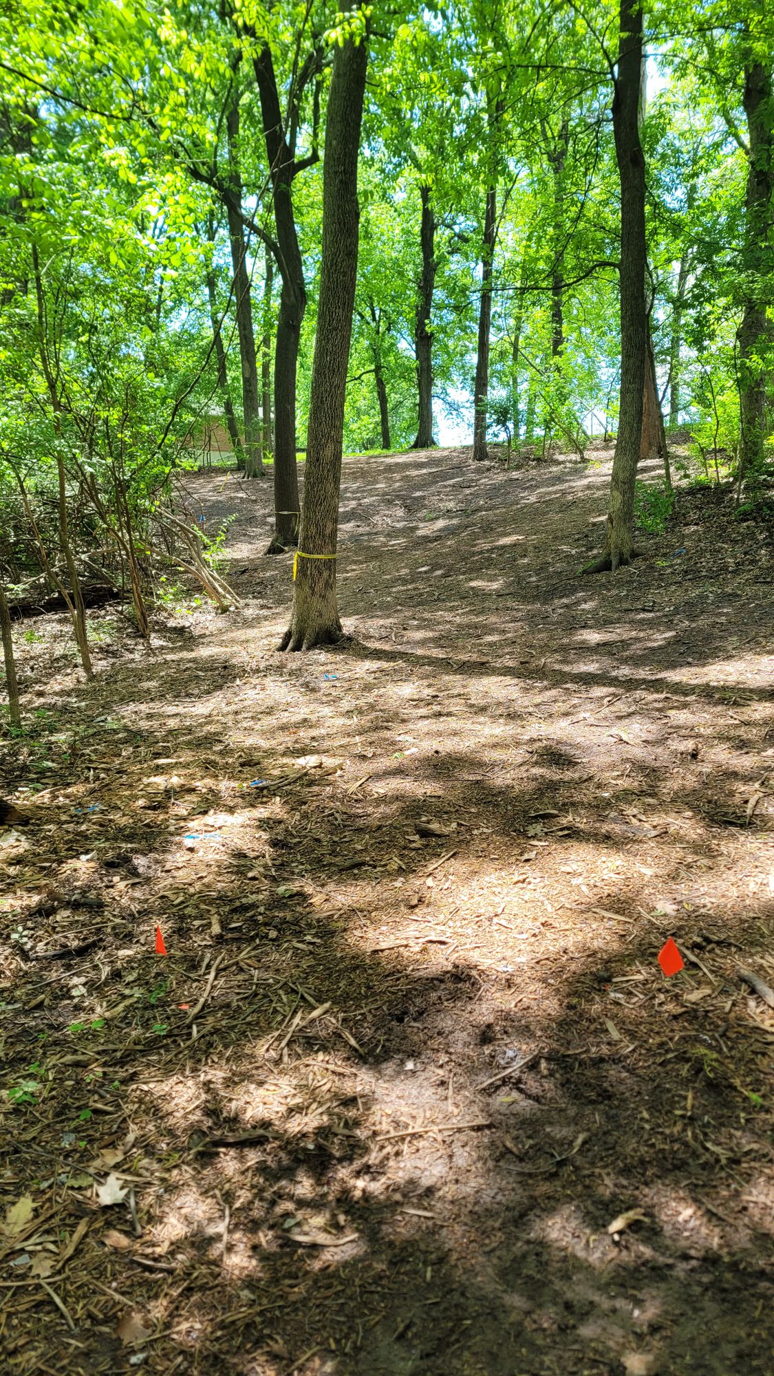 Hole 18 - dog leg left, up hill.