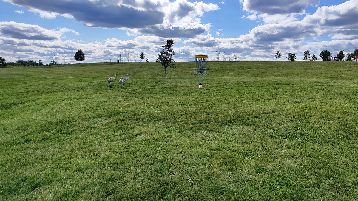 Hole 17