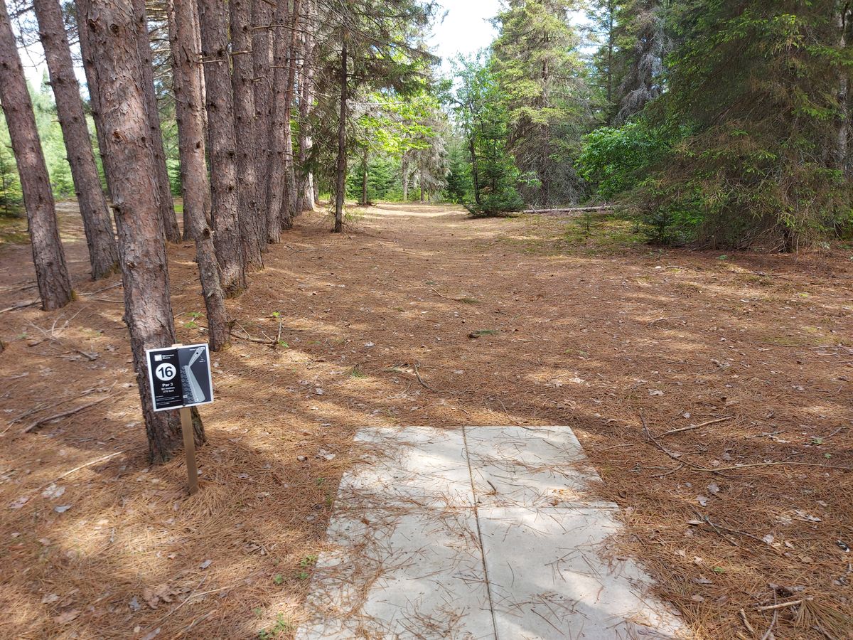 276ft hole16. Dogleg right🌲🌲🌲🌲