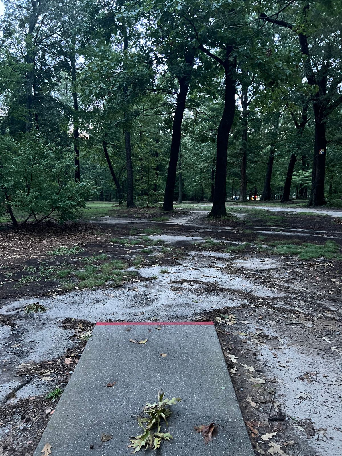 Hole 6