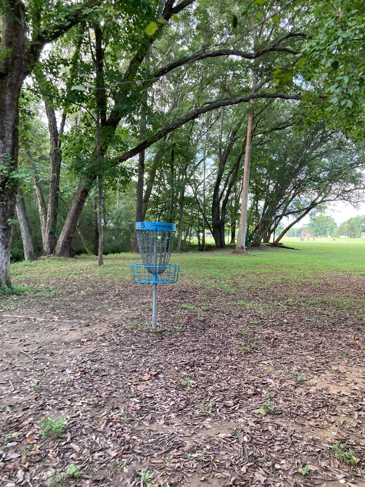 Hole 5 pin looking back towards the tee.