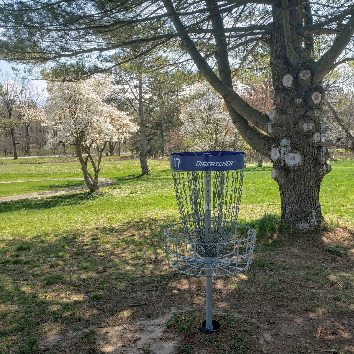 Hole 17 basket and beyond in spring
