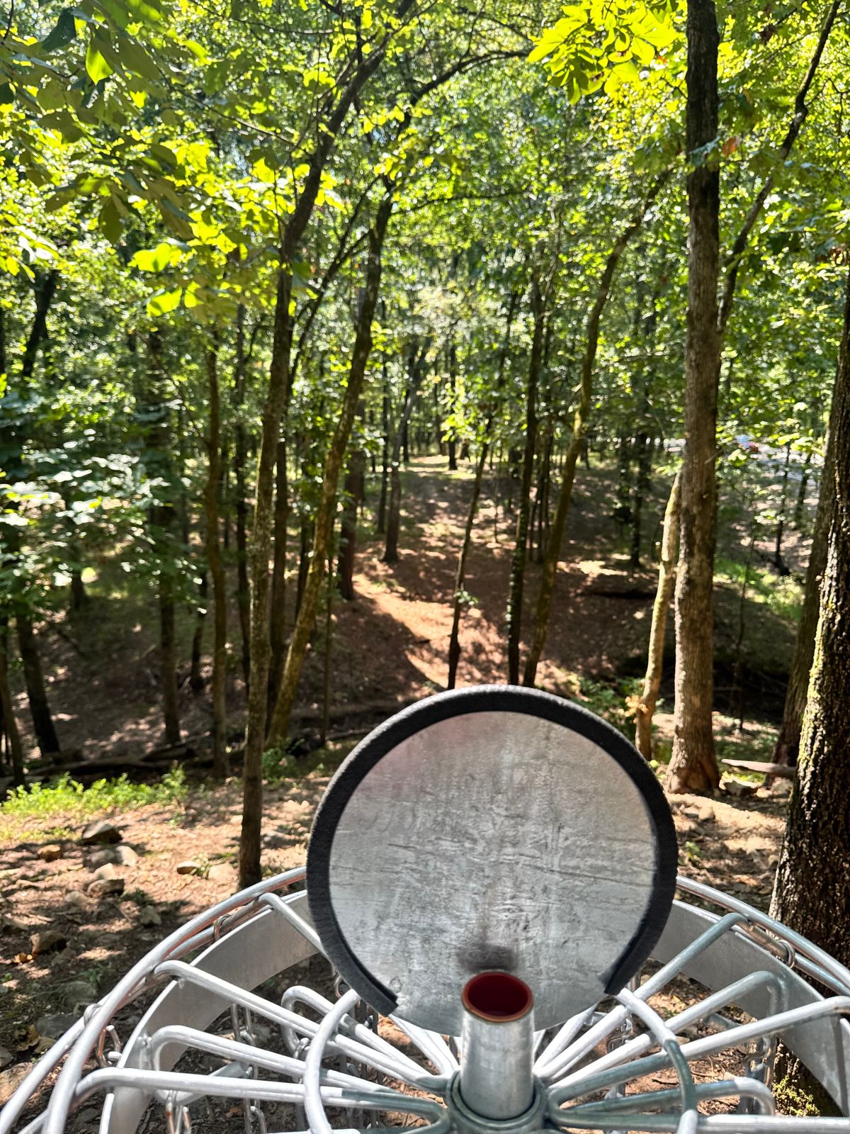 Hole 11 back toward tee