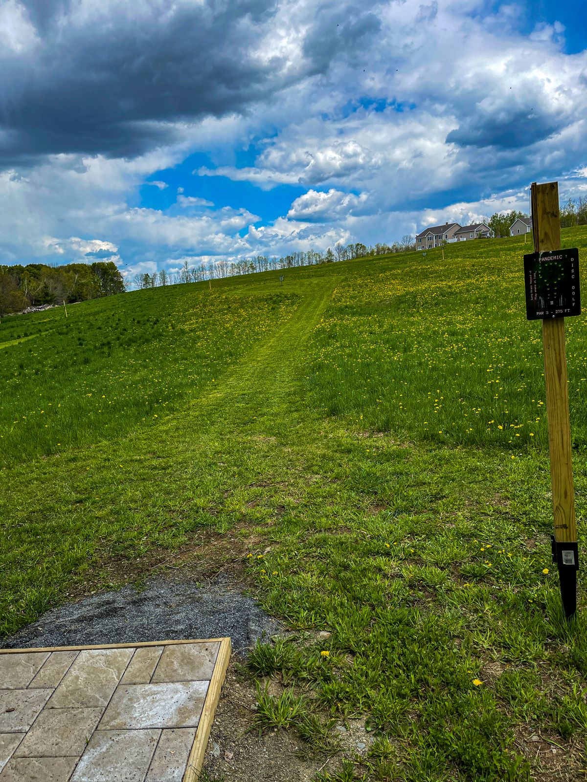 Hole 11 island green 275’