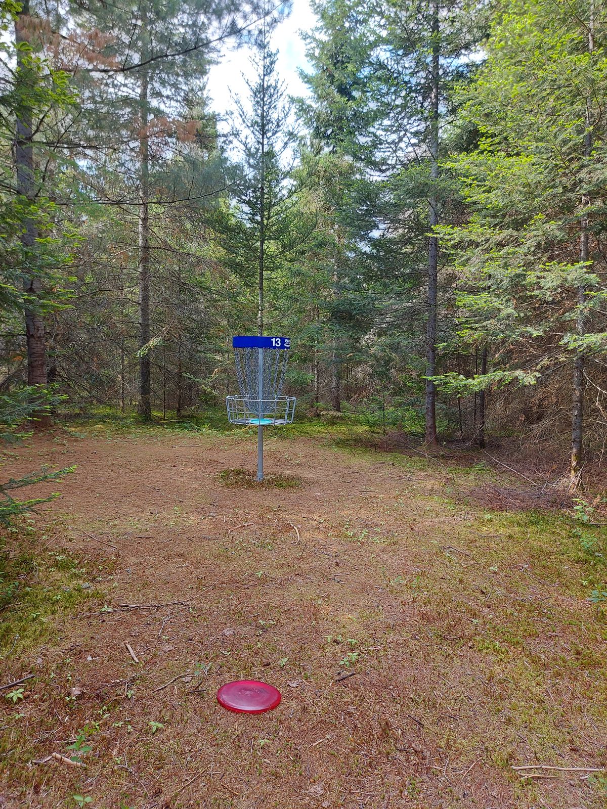 Putting on hole 13. 🍁🌲🍁🌲🍁🌲