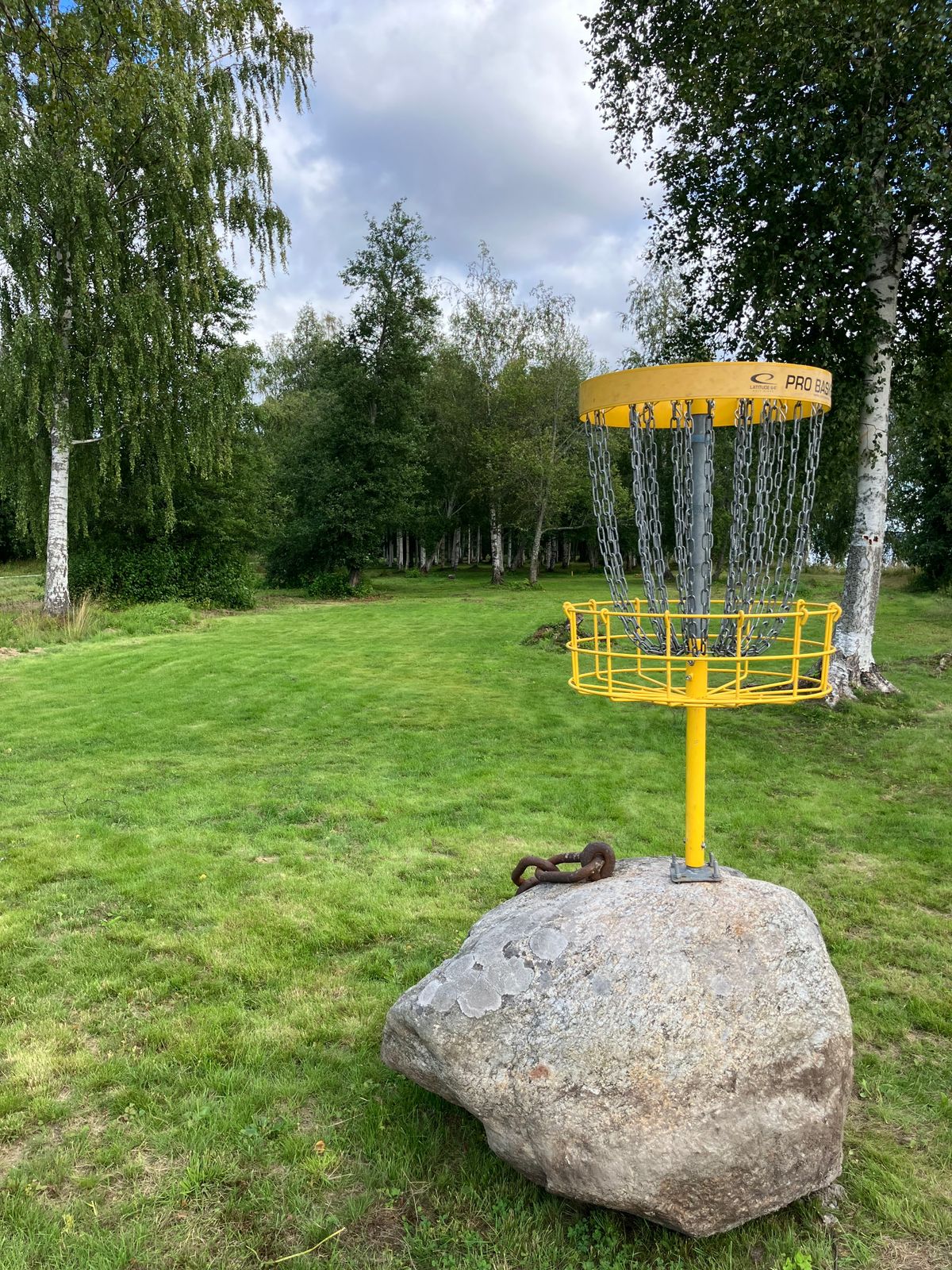Hål 12, Korgplacering