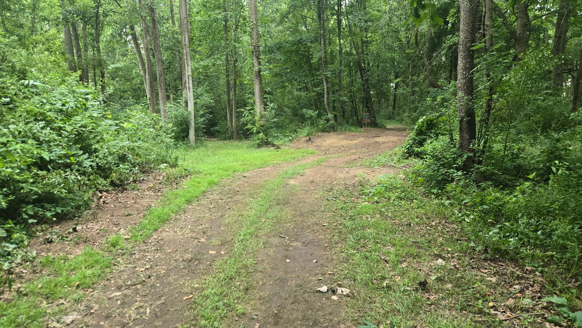 8 mid fairway