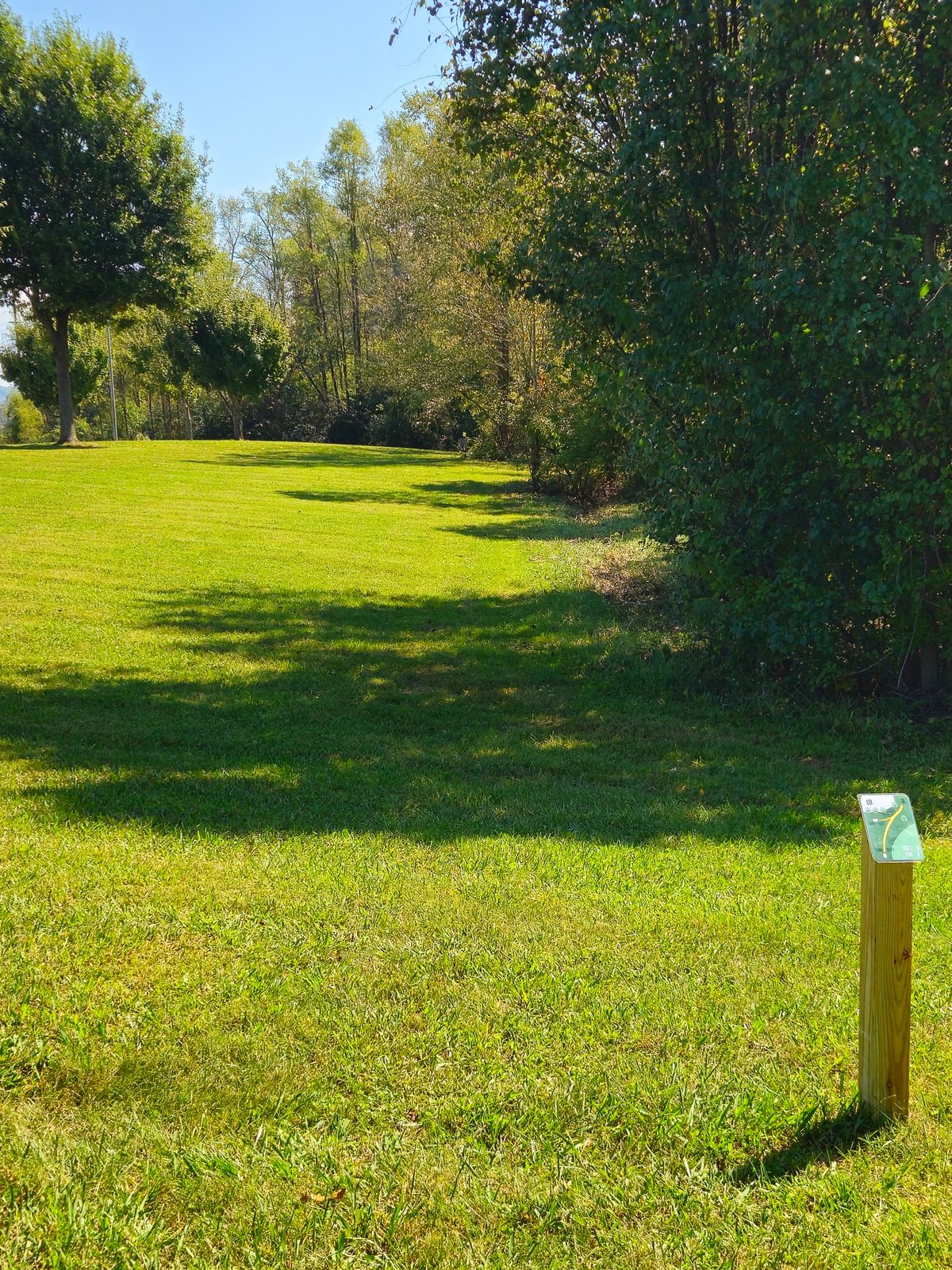 Hole 8 Long