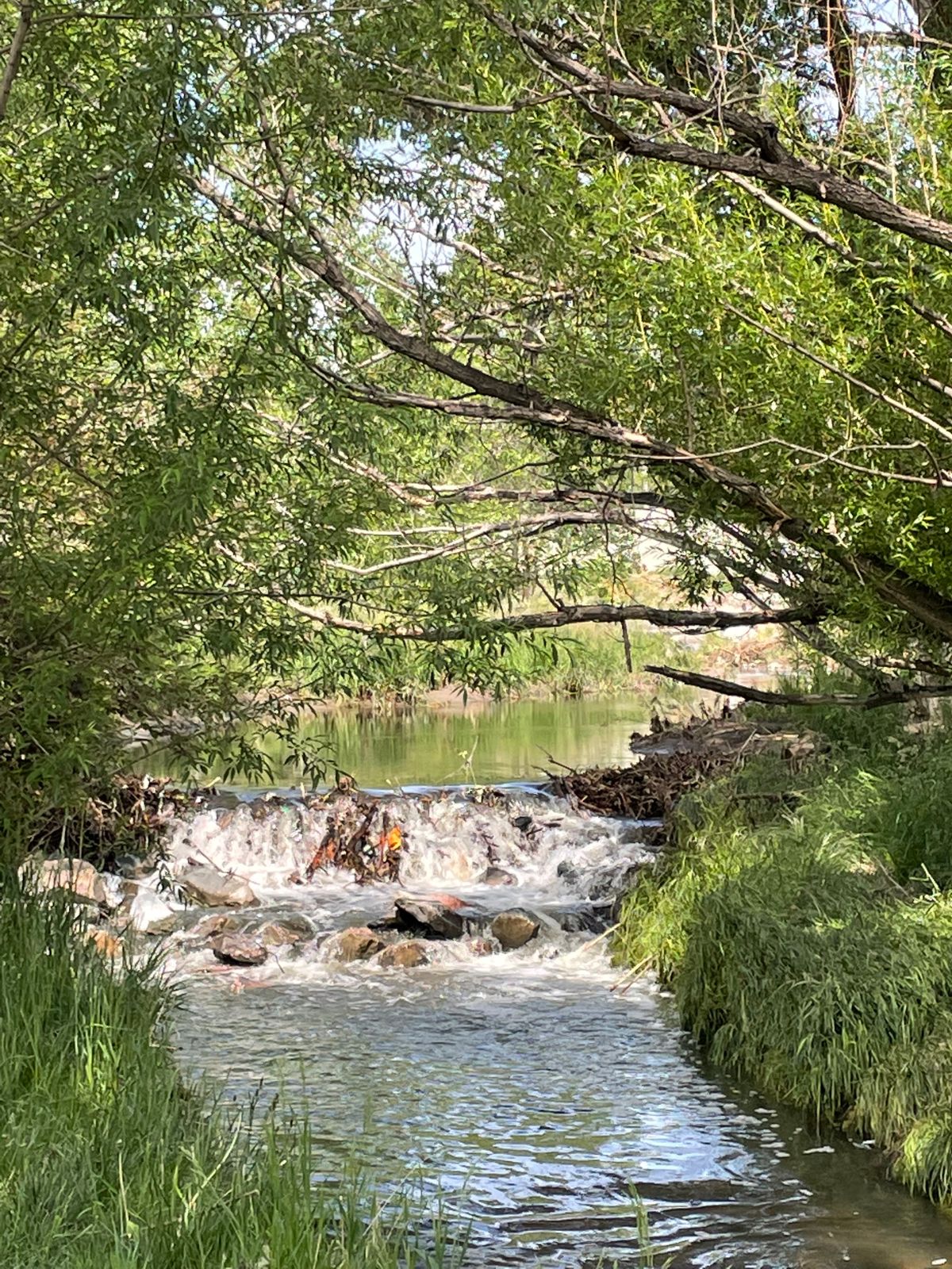 Up and down a river