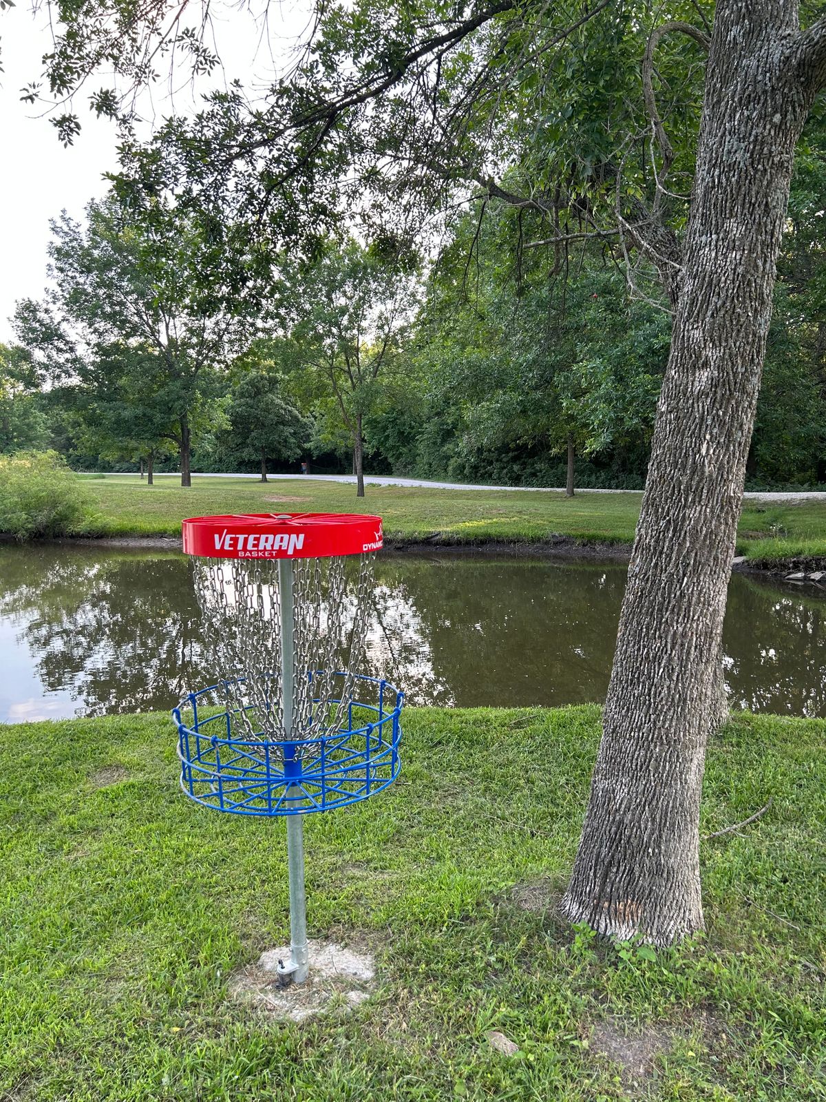 Hole #11 basket look to tee pad