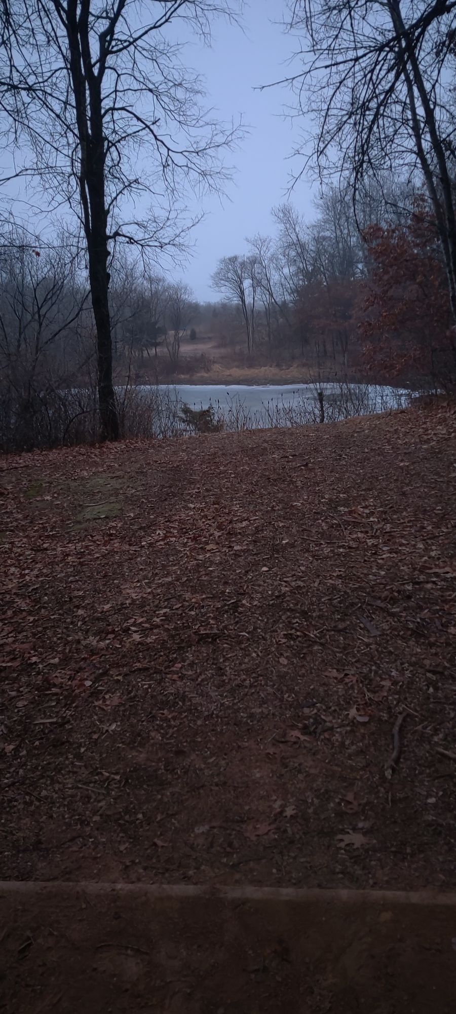 Basket #15's ice pond