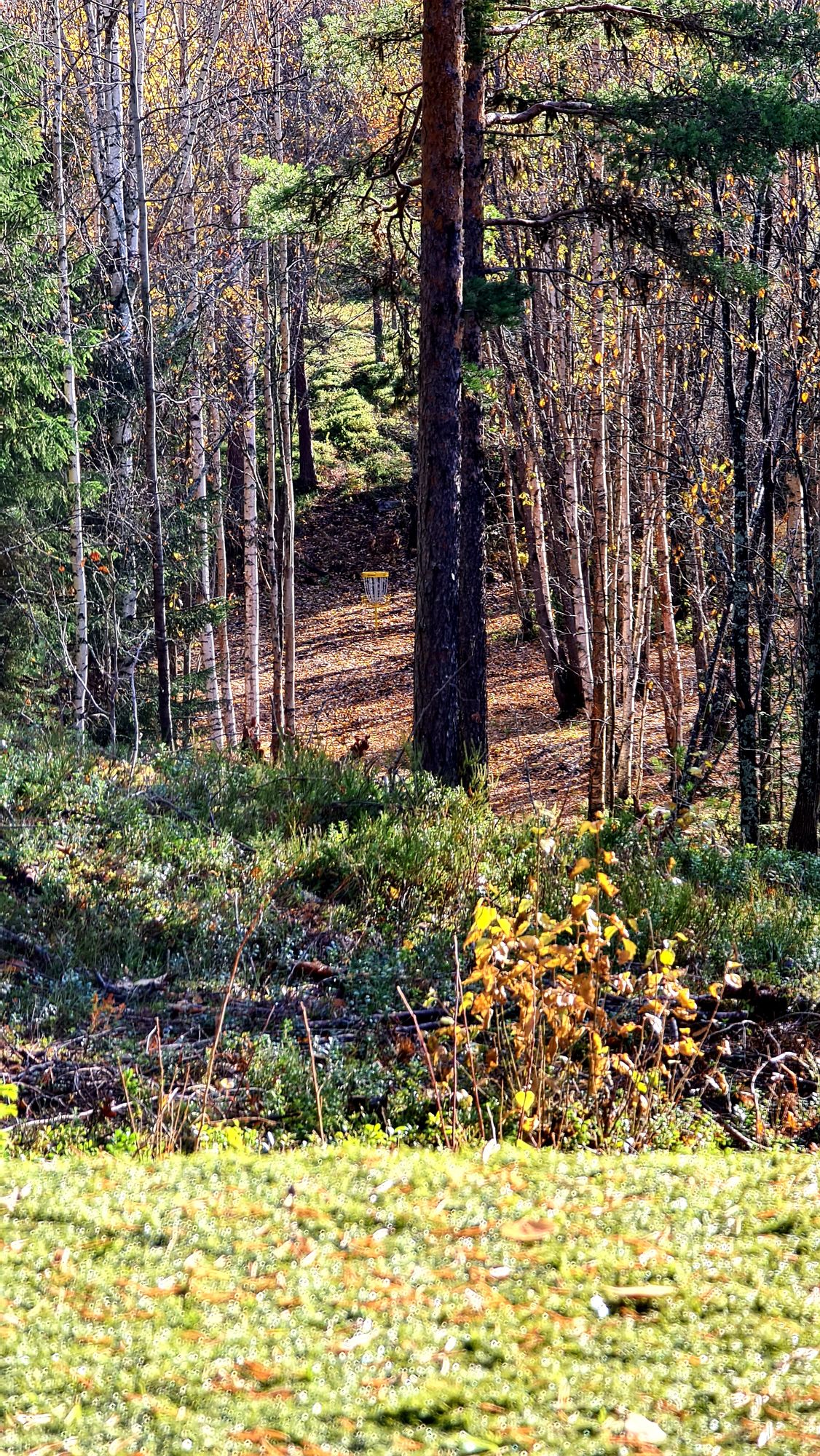 Hål 5