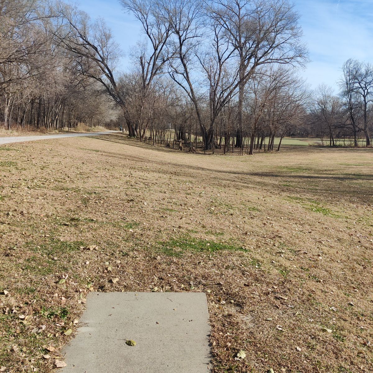Hole #13