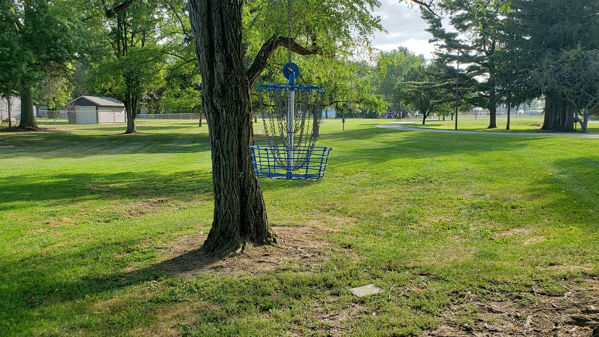 Hole 8 hanging basket