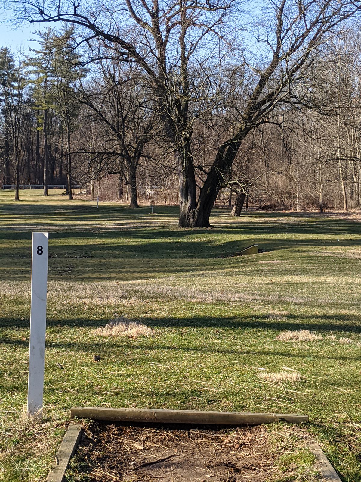 Hole #8